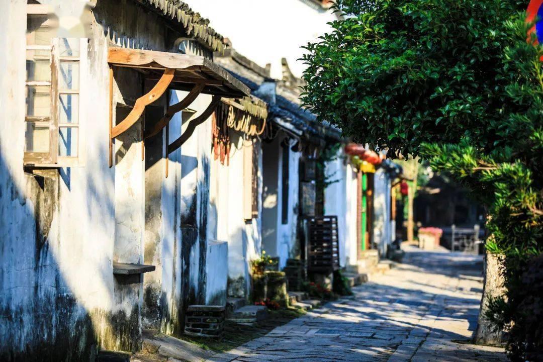 桂皮堵马桶怎么能腐烂？游戏画面